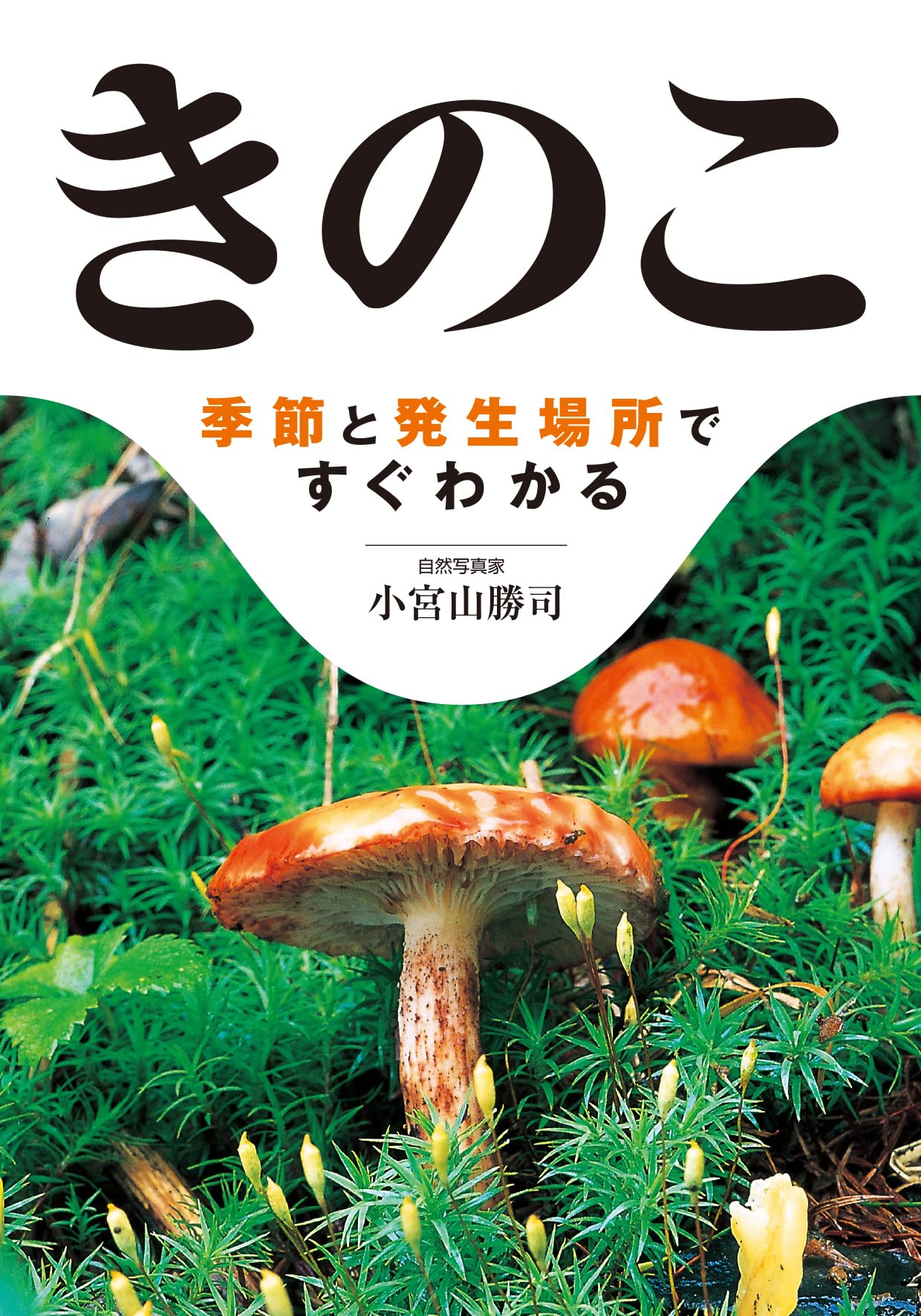 Amazon.co.jp: きのこ : 小宮山勝司: 本